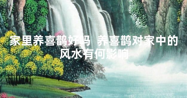 家里养喜鹊好吗  养喜鹊对家中的风水有何影响